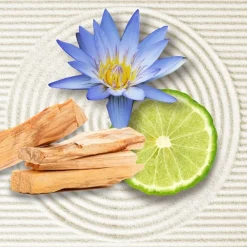 Douchegels Dames|Damesparfum^Annayake Pour Elle