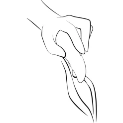 Vibrators|Condooms^We-Vibe Raak X koraal aan