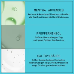 Gekleurd Haar|Droog Haar^Nioxin Reinigende shampoo, Gekleurd haar Licht dunner wordend