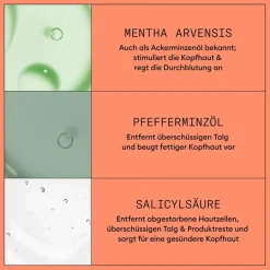 Gekleurd Haar^Nioxin Reinigende shampoo, Gekleurd haar Gevorderde uitdunning