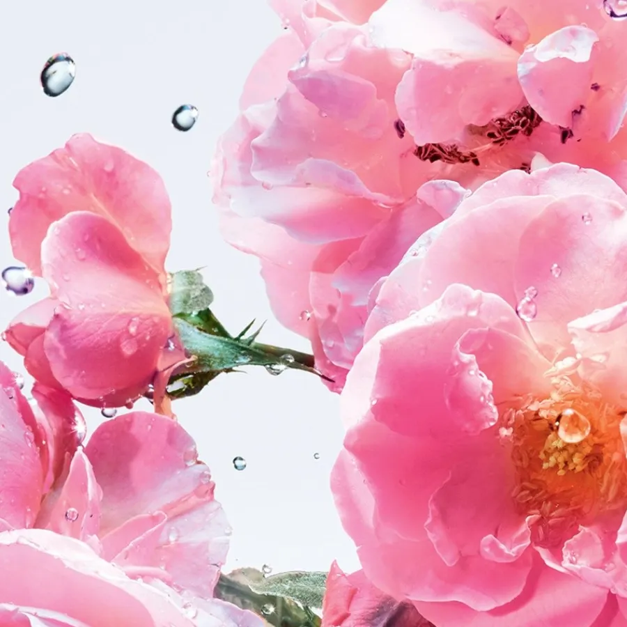 Luxe Damesparfum|Frans Parfum^DIOR Roller-Pearl Rose N Roses