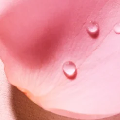 Unisex|Heren^Nuxe Rose Fragrant Water