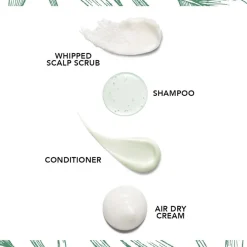 Dun & Steil Haar^Bumble and bumble Seaweed Shampoo