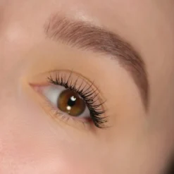 Oogschaduw^Lord & Berry Seta Oogschaduw