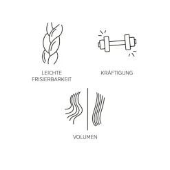 Droog Haar|Dun & Steil Haar^System Professional Lipid Code Shampoo V1