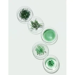 Anti-Agingserum^Helena Rubinstein Skin Rehab