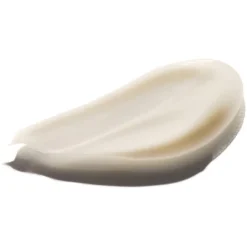 Antirimpelcrème|Gezichtscrème^SENSAI The Cream