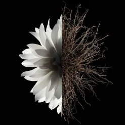 Douchegels Dames^GIVENCHY The Shower Oil