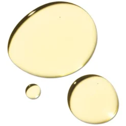 Body Oil^Payot Tonierkorps Huile