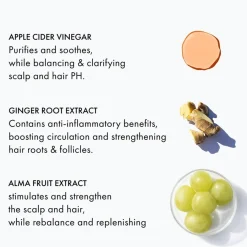 Anti-Roos Crèmespoeling|Vet Haar^Fekkai Triple Cleanse Conditioner