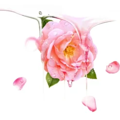 Sheet Maskers^Foreo Ufo Mask Bulgarian Rose