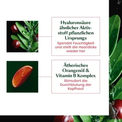 Volumeshampoo|Smoothing Shampoo^René Furterer Verkwikkende shampoo