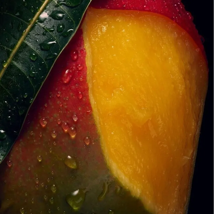 Hydraterende Conditioner^Aveda Voedende Krulgelei