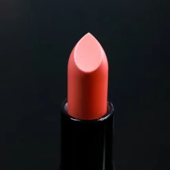 Lippenstift^Lord & Berry Vogue Matte Lipstick