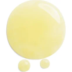 Anti-Agingserum^Shiseido Wrinkle Smoothing Contour Serum