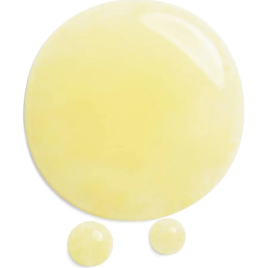 Anti-Agingserum^Shiseido Wrinkle Smoothing Contour Serum