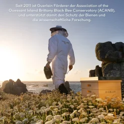 Vitamine C-Serum|Hyaluronzuurserum^GUERLAIN Youth Watery Oil Serum